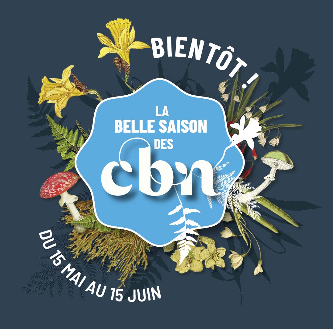 Image annonce de l'évènement la belle saison des CBN