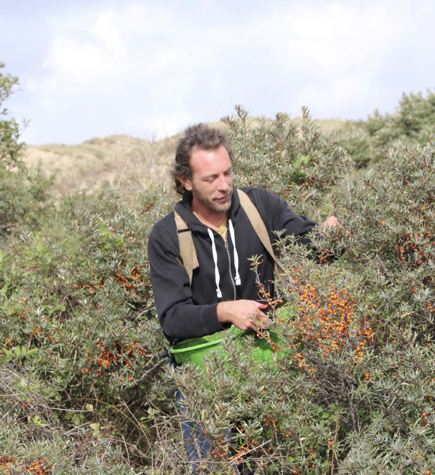 Récoltes de graines en milieu naturel