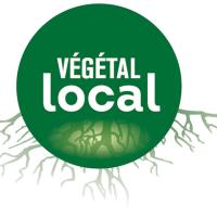 Logo végétal local